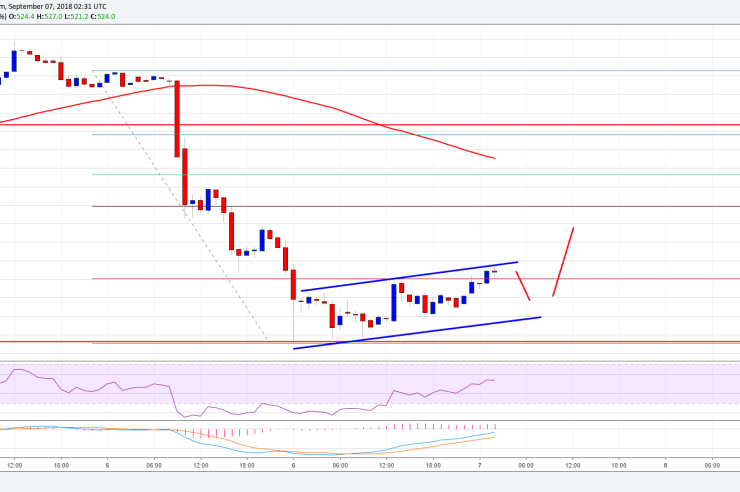 Bitcoin Cash Price Analysis: BCH/USD Consolidating Losses Above 0
