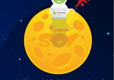Elon Musk boosts Dogecoin by 76% with a rocket tweet