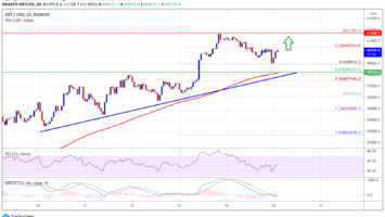 Bitcoin 13