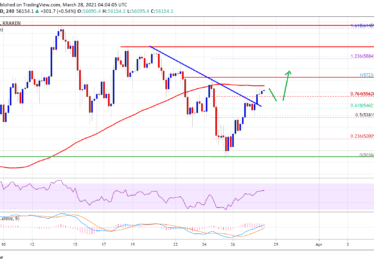 Bitcoin 24