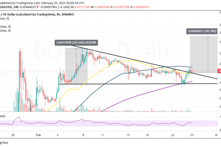 Dogecoin Price Prediction: DOGE primed for a massive 100% move to new record highs