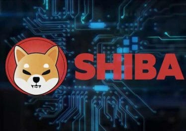 Did Vitalik Buterin Just Killed Meme Coins? ETH Co-founder Donates  B Worth of $SHIBA to Indian Crypto Relief Fund