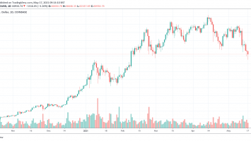 Raoul Pal Calls Out Bitcoin Maxis For Their Role In The Market Downturn