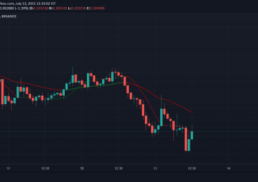 End of the Musk pump? Dogecoin barely moves after Tesla joke