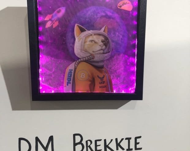 Bitcoin Artwork Will Make Your Life Beautiful