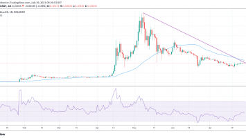 Ripple chairman Chris Larsen has a warning for Dogecoin (DOGE) holders