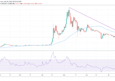 Ripple chairman Chris Larsen has a warning for Dogecoin (DOGE) holders