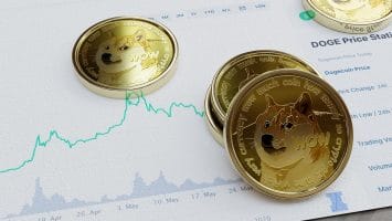 Basic Information About the Dogecoin