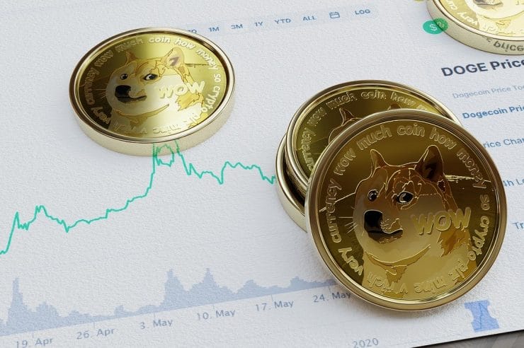 Basic Information About the Dogecoin