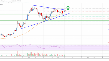 Ripple Price Analysis: Bulls Aim Larger Increase