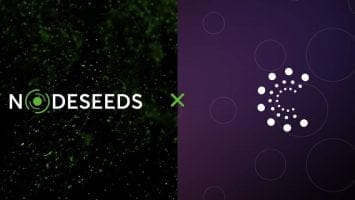 Nodeseeds Launches Three-Tier Membership to Ensure Transparency and Fair Allocation of Projects