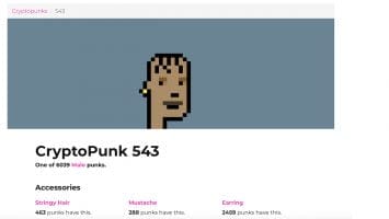 Fractionalizing the Doge NFT, Cryptopunk 543 Gets Chopped and Sold for  per Share – News Bitcoin News