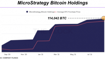 MicroStrategy And Other Whales Continue Bitcoin Accumulation
