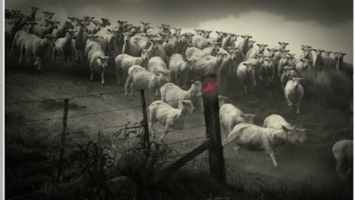 The Revenge Of The Nodes: When 20th Century Authority Gives Way To 21st Century Autonomy