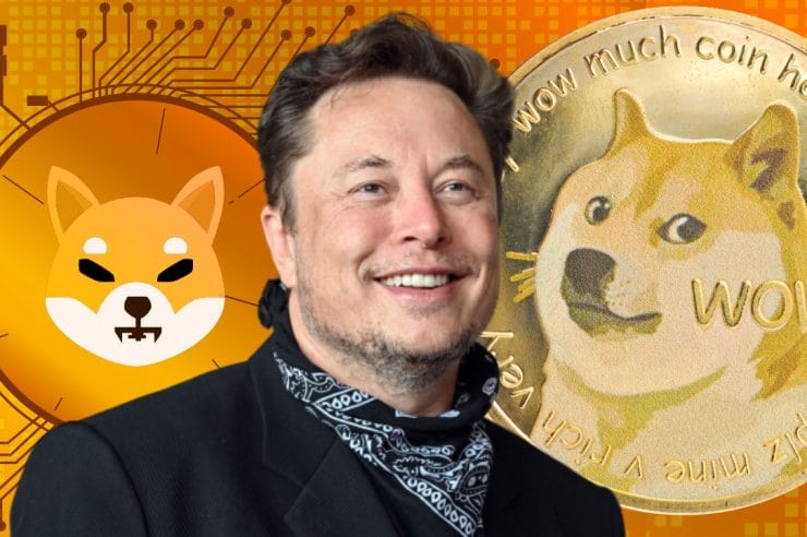 Elon Musk Discusses Important Dogecoin Improvements, Confirms No Investment in Shiba Inu