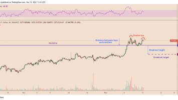 Litecoin grapples with ‘double top’ risks after LTC price rallies 37% in November