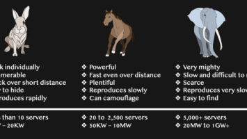 The Crucial Role Of Wild Horses In Bitcoin Mining