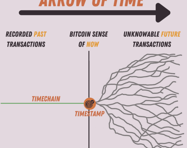 How Bitcoin Creates Our New Reality