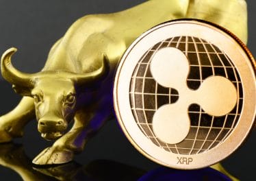 Ripple Achieves ‘Strongest Year Ever’ Despite SEC Lawsuit Over XRP, Says CEO