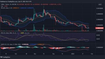 What Is the Future of WINkLInk in 2022?