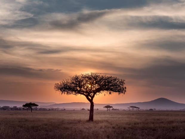 Growing The Bitcoin Development Ecosystem In Africa