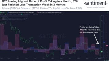 Ethereum Whales Abandon Ship As Weekend Arrives in Apparent Move to Avoid Crypto Calamity