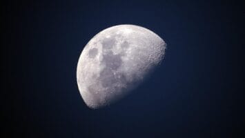 Luna Foundation buys more bitcoins for 6 million