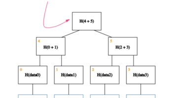 How Taro Brings Assets To Bitcoin Through Taproot And Lightning