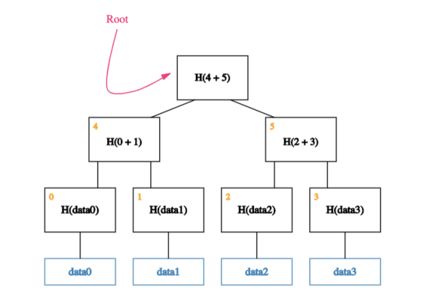 How Taro Brings Assets To Bitcoin Through Taproot And Lightning