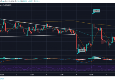 Bitcoin Cash Rises from an Abrupt Fall; Trades at 1