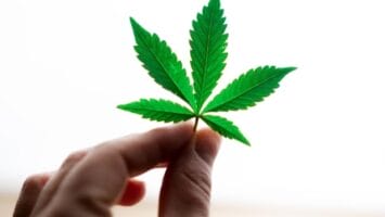 Bitcoin Can Finance Growth In The Cannabis Industry