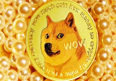 Dogechain Mania Grips DOGE Community, Where Is It Heading?