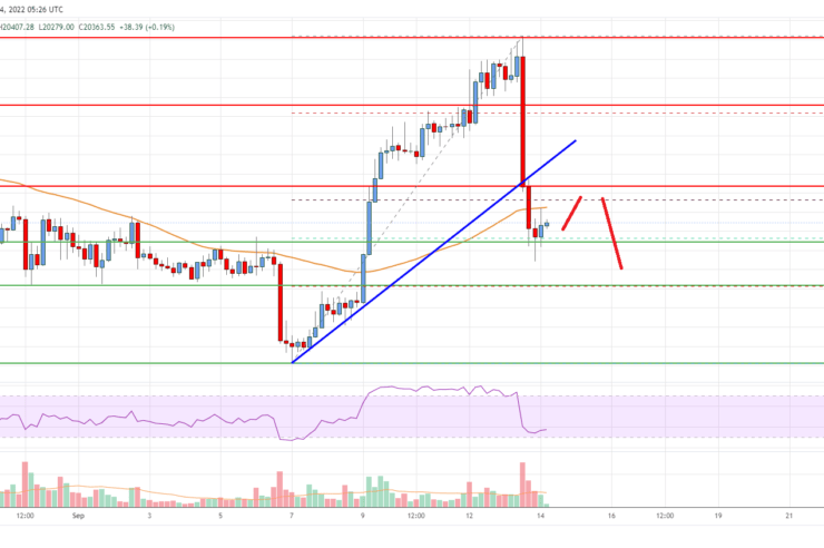 Bitcoin Price Analysis: BTC Drops Sharply, Key Support Nearby