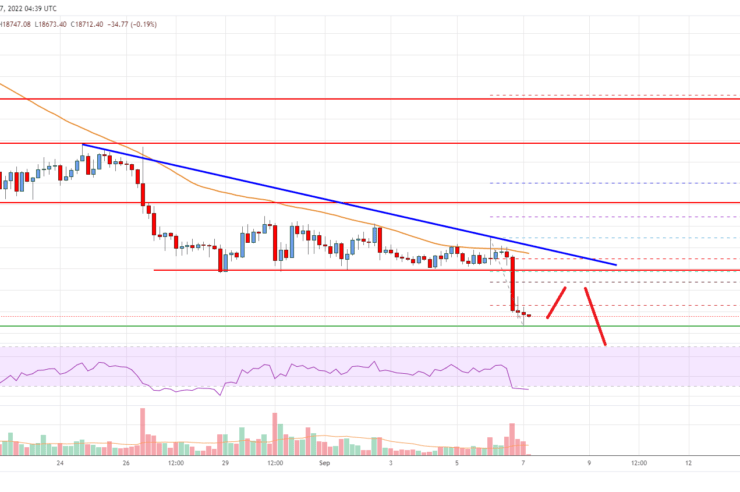 Bitcoin Price Analysis: BTC Takes A Major Hit
