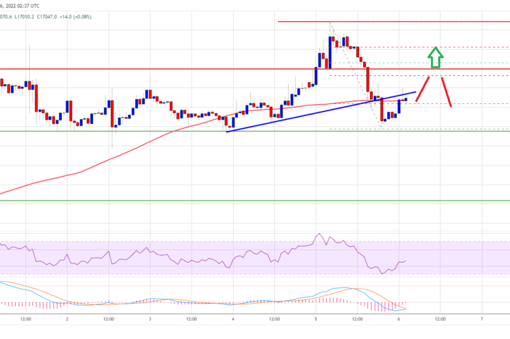 Bitcoin Price Lacking Momentum Above k, BTC Holders Are Safe: Here’s Why