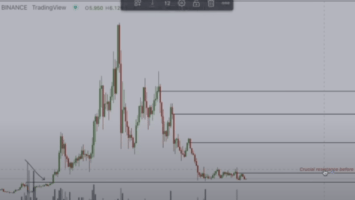 Analyst Michaël Van De Poppe Predicts Massive Surge for Ethereum-Based Altcoin in 2023 – Here’s His Outlook