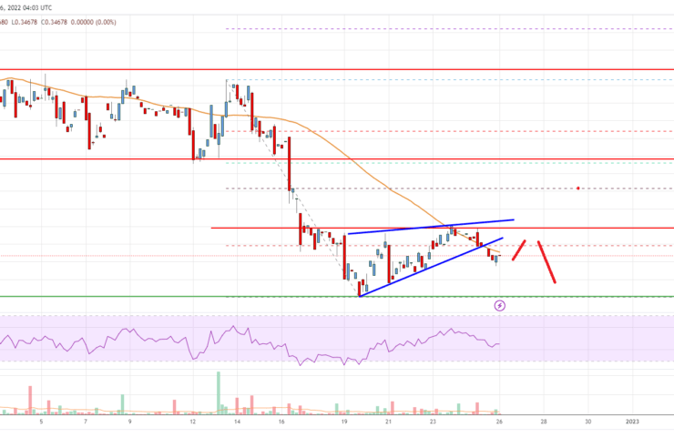 Ripple Price Analysis: Bulls Struggle Below alt=