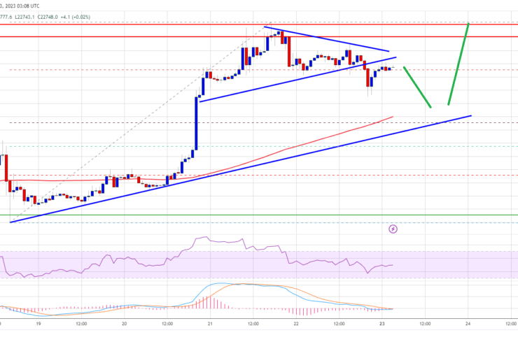 Bitcoin Bulls Keeps Pushing, Why BTC Price Increase Isn’t Over Yet