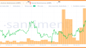 XRP Price Goes Upward With Increasing Whale Activity