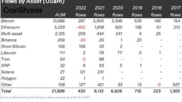 The influx of funds from institutionals into cryptocurrencies in 2022 collapsed by 95%