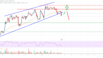 Cardano (ADA) Price Analysis: Downside Correction Could Be Limited