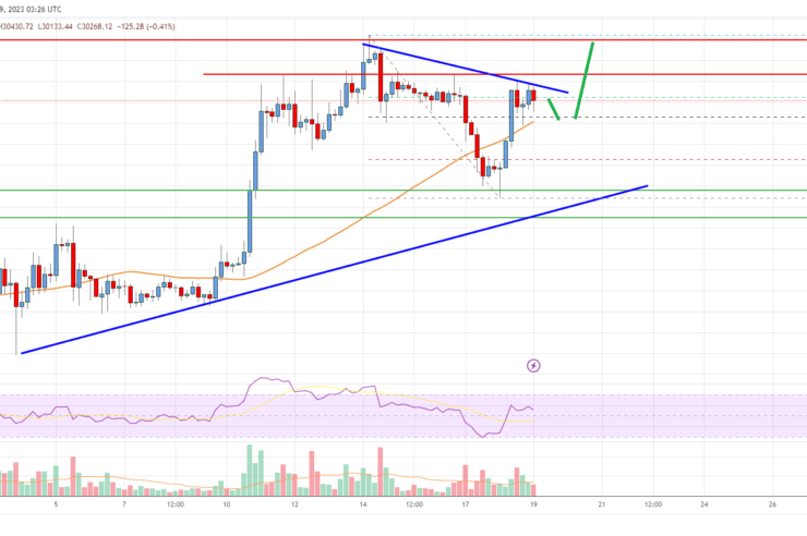 Bitcoin Price Analysis: BTC Eyes More Gains Above K