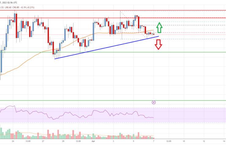 Litecoin (LTC) Price Analysis: Bulls Continue to Struggle Near 0