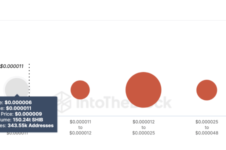 Shiba Inu (SHIB) Price Momentum Turns Bearish, What to Expect Next?