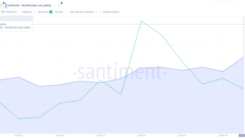 Crypto Whales Are Buying These Altcoins This Week