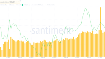 Cardano (ADA) Whale Activity Suggests Confidence Amid Price Drop
