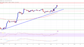 Bitcoin 13