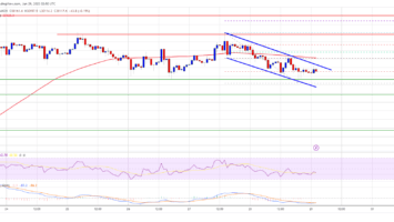 Bitcoin 20
