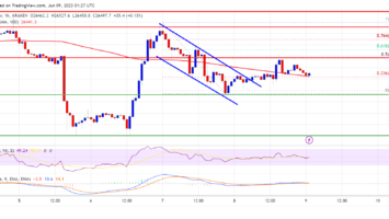 Bitcoin 6