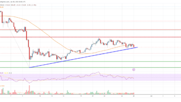 SOL Price Analysis: Solana Could Recover Further If It Holds This Support